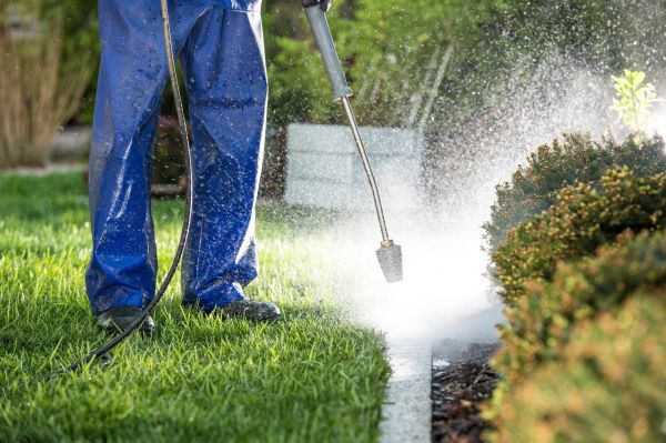 Curb Cleaning in Kenner