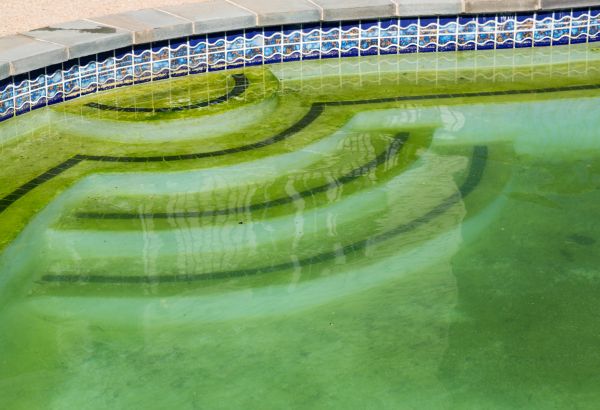 Pool Deck Algae Removal in Kenner