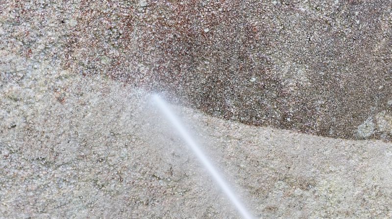 Soft Washing Service